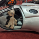 Illustration for article titled Pictures From Philly Auto Show